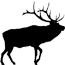 elk